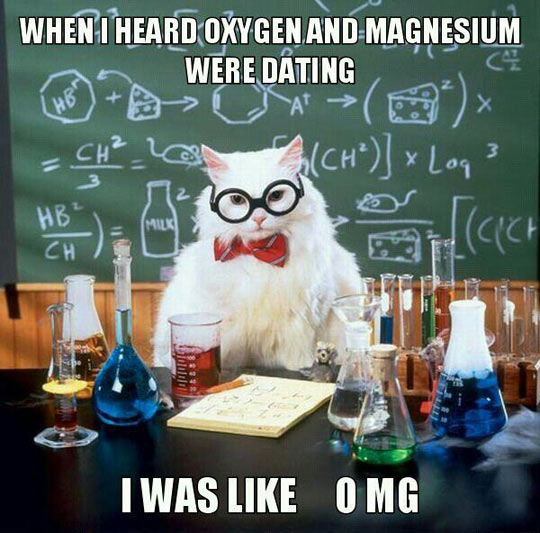 I heard oxygen and magnesium were dating...