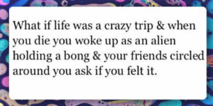 Life is a crazy trip.