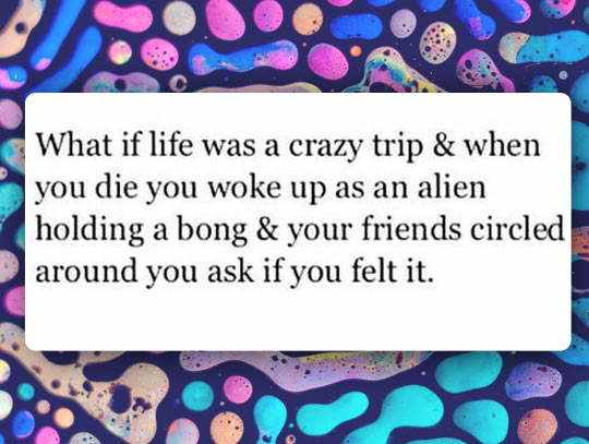 Life is a crazy trip.