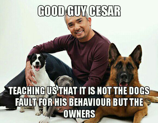 Good guy Cesar