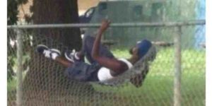 The Hood Hammock