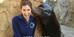 Overly confident sea lion…