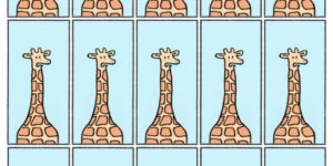 Giraffe barf