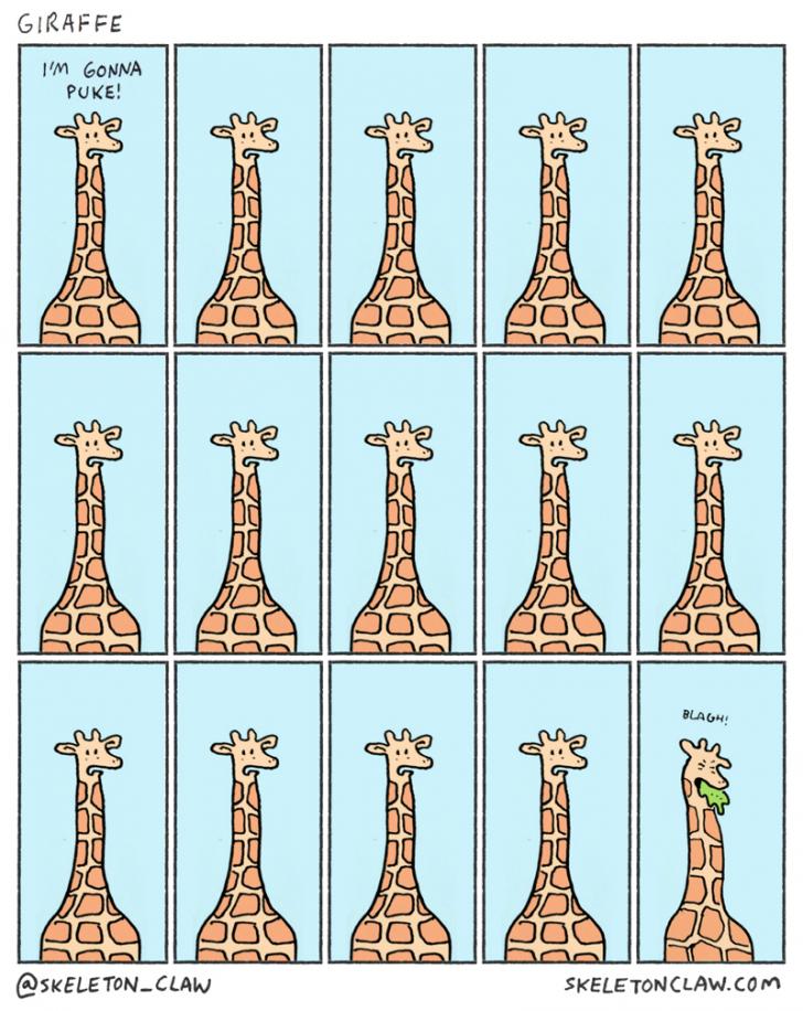 Giraffe barf