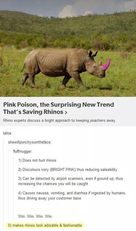 Pink Poison, A New Trend Saving The Rhino