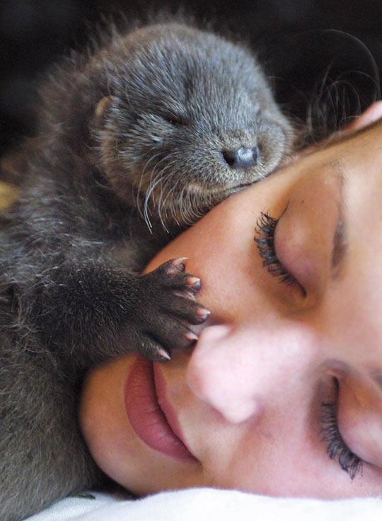 Her Significant Otter