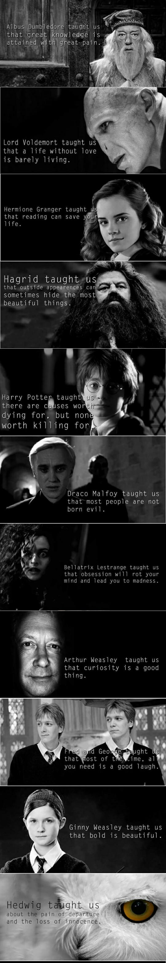 The many lessons of Harry Potter