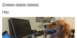 Doggo texts