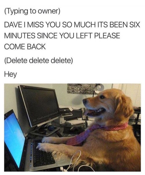 Doggo texts