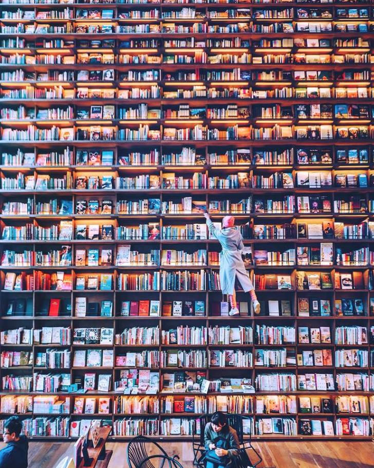 The Majestic Bookstore, Osaka, Japan