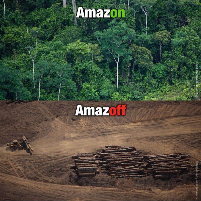 Greenpeace Brasil's photo