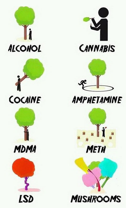 What drugs are like.