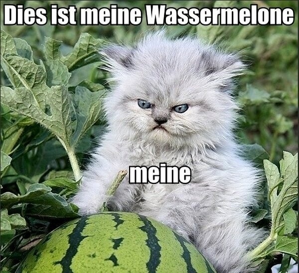 Meine wassermelone.