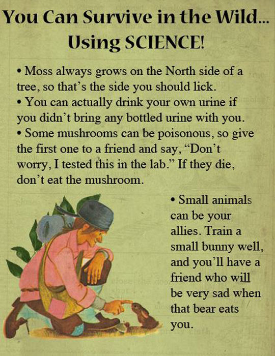 Surviving in the wild using SCIENCE!