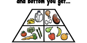 The various Food Pyramids.
