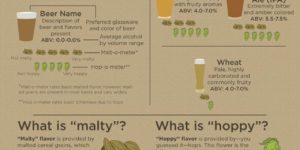 Be a Beer Expert