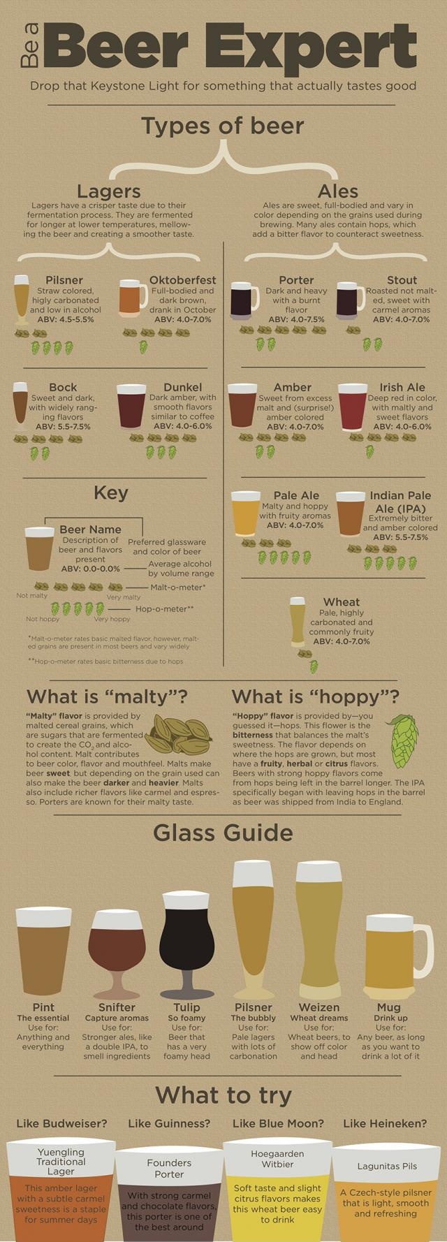 Be a Beer Expert