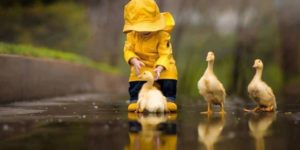 A+boy+with+his+ducks