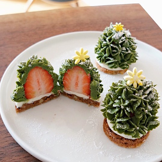 A Christmas Tree Tartlet