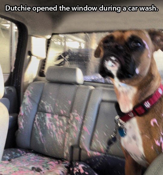 Dutchie is kind of a jerk.