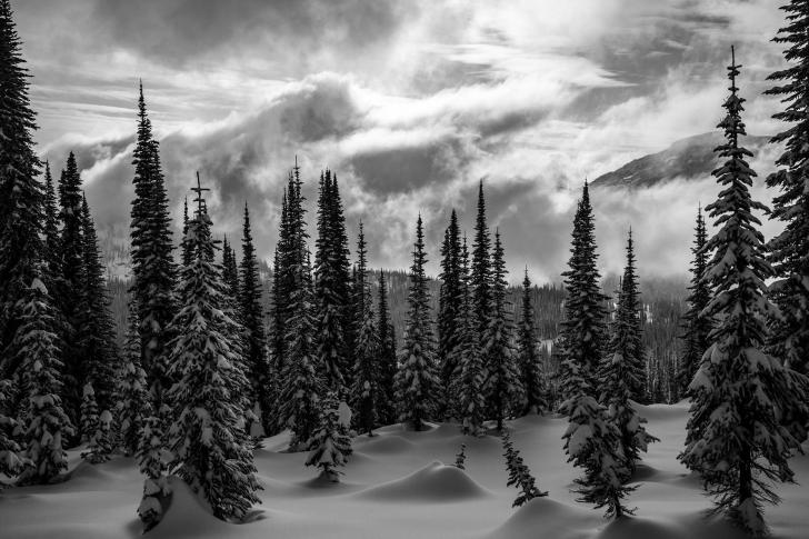 Deep in the stormy Monashees of BC