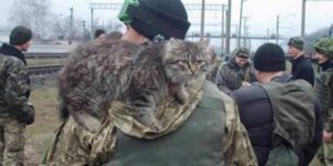 Ukrainian soldier goes home from the war zone in Eastern Ukraine with a rescued cat.