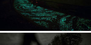 Solar powered glowing bike path.