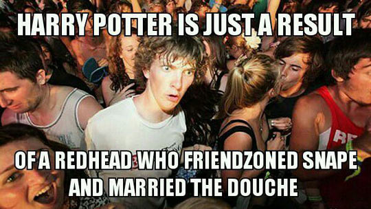 Harry Freaking Potter