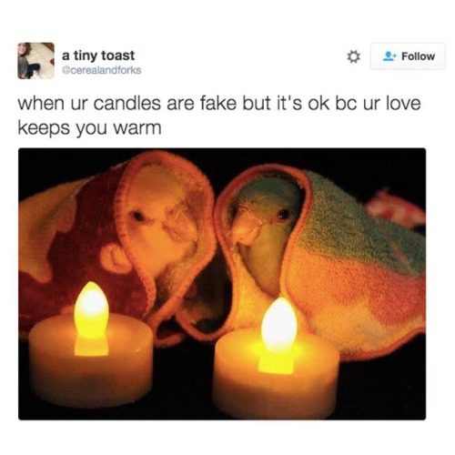 Fake candles and chill?