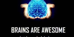 Brains are awesome.