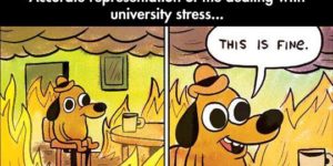 Dealing with college stress.