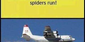 Proper solution
