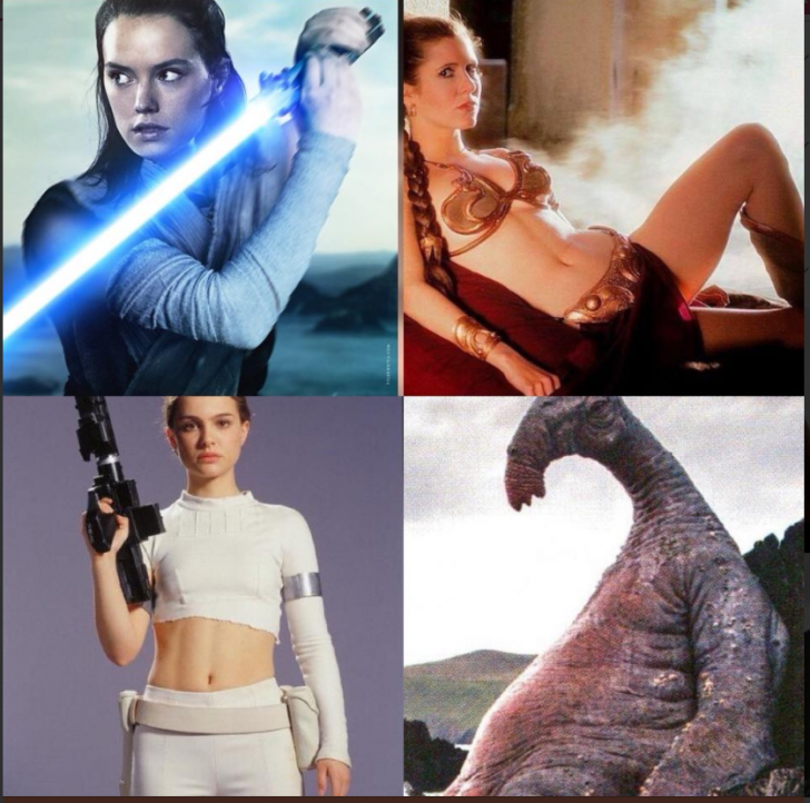 The Babes Of Star Wars