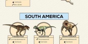 Dinosaurus around the world.