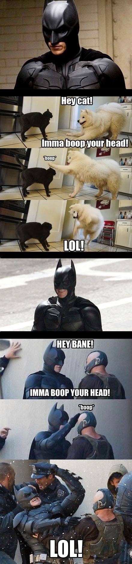 Where Batman gets his fighting moves from...
