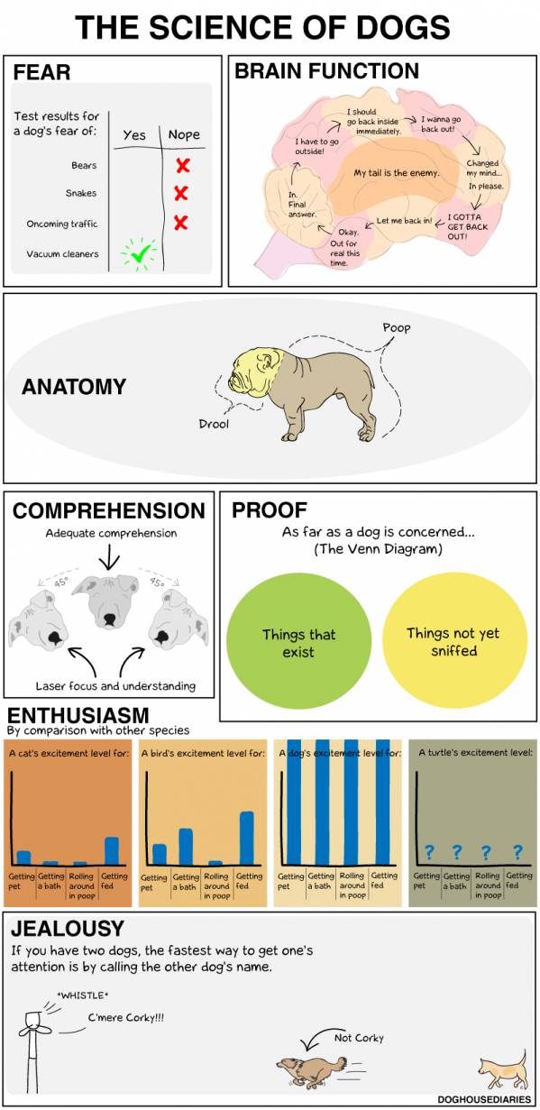 The science of dogs.