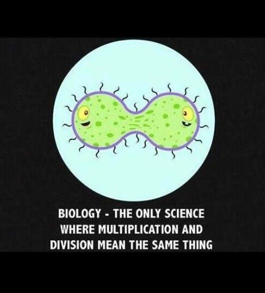 Biology.