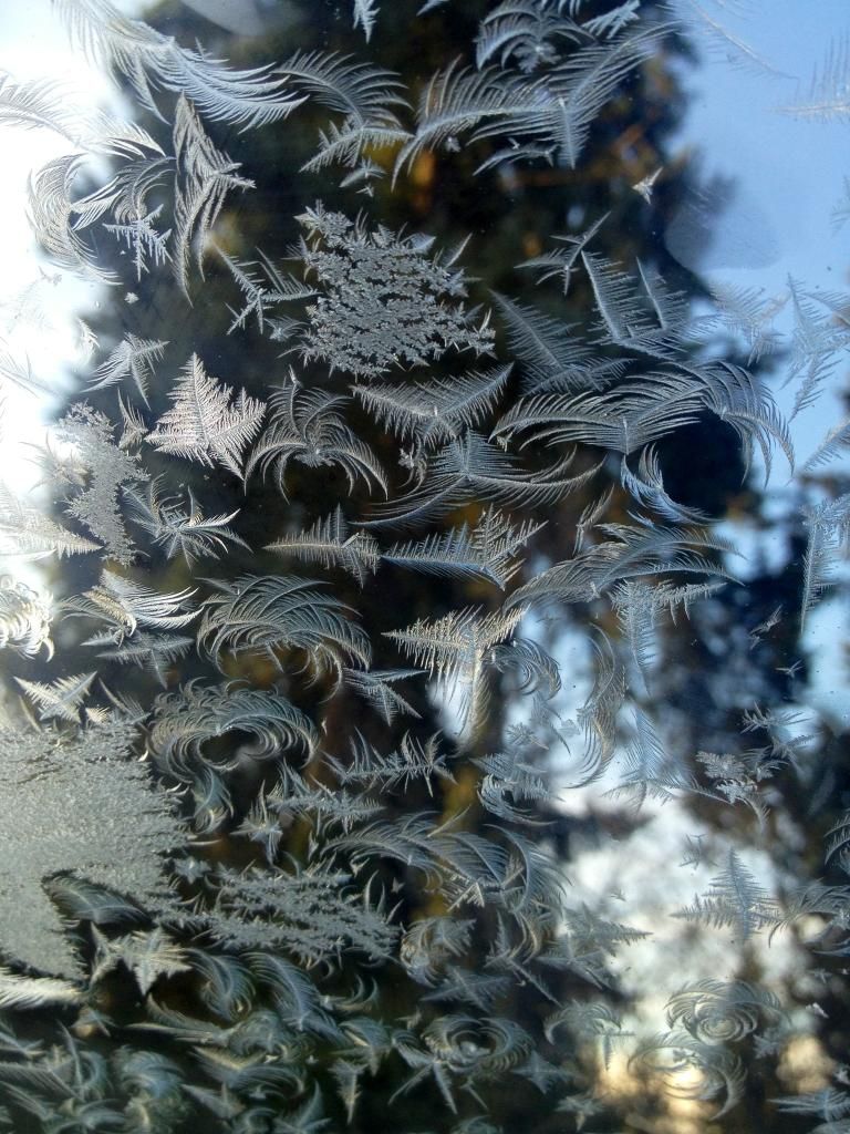 Ice on my windshield this morning.