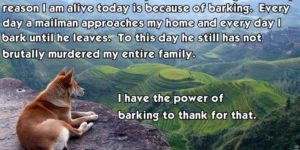 The power of barking