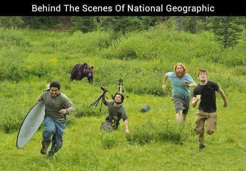 NatGeo behind the scenes