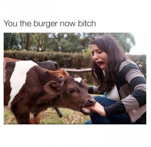You the burger now...