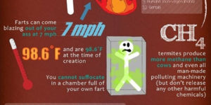 Facts about your farts.