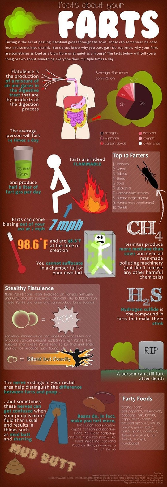 Facts about your farts.