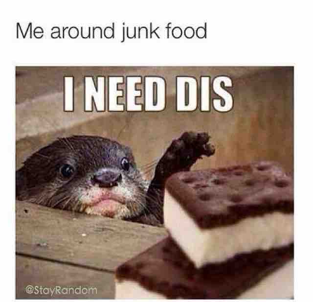 Me around junk food