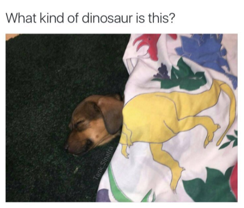 Puppersaurus Rex