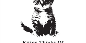 Kittens may be cute, but…