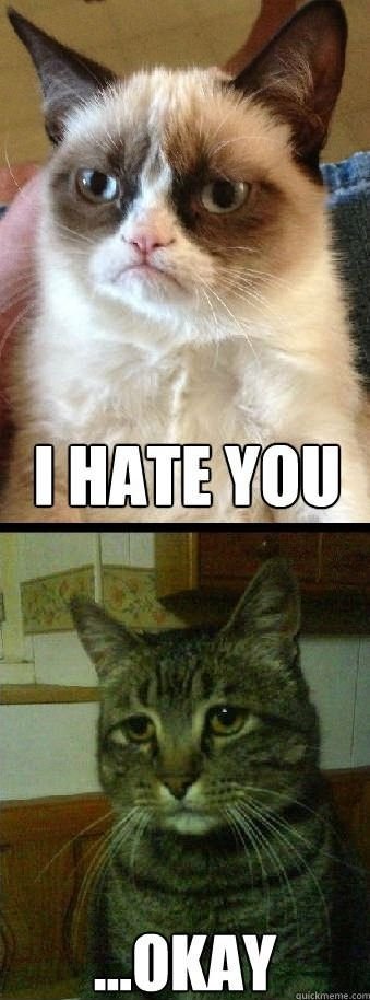 The love story of Grumpy Cat and Depressed Cat.
