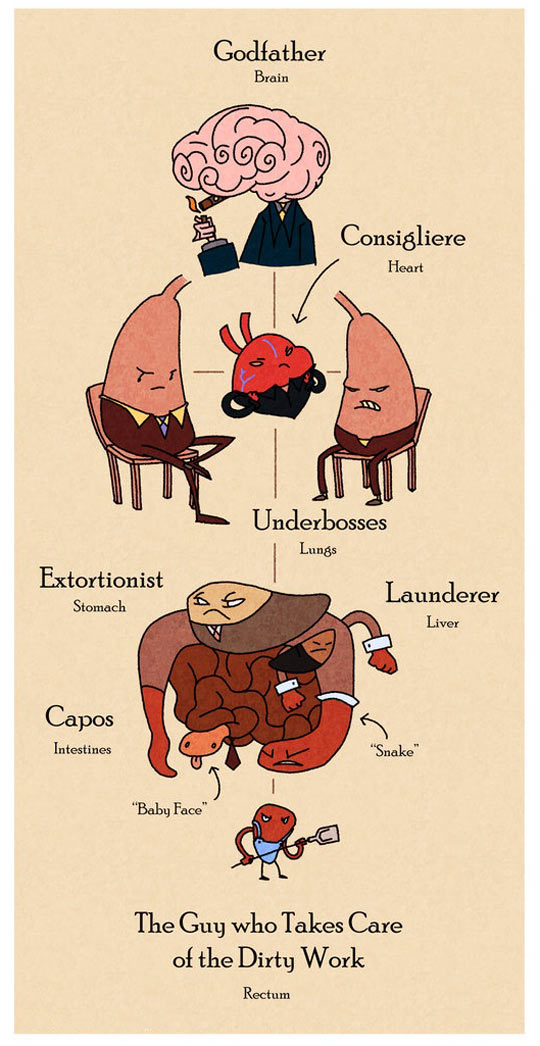 Understanding your anatomy.