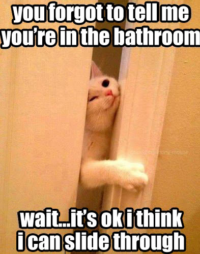 You forgot to inform me you were in the bathroom...