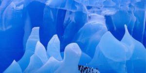 Chin-Strap Penguins on Unearthly Ice in Antarctica.